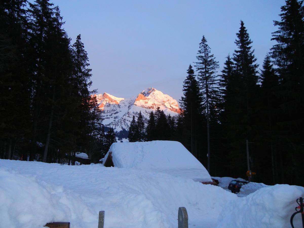 Restaurant Hotel Schermtanne Adelboden Extérieur photo
